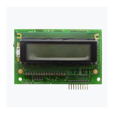 display XS