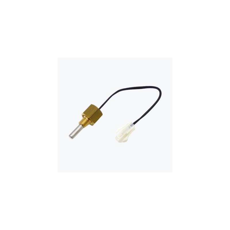 sonde immergée