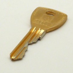 clé de programmation RS1