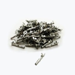 cosse molex standard femelle X100