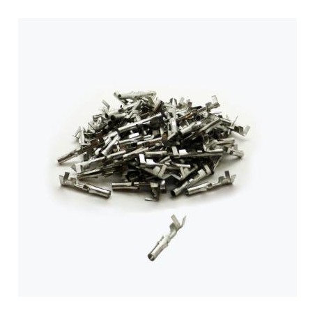 cosse molex standard femelle X100
